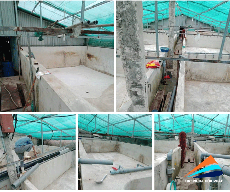 Hình ảnh: Bạt lót ao hồ chứa nước, hồ nuôi tôm cá ở tại Bình Định