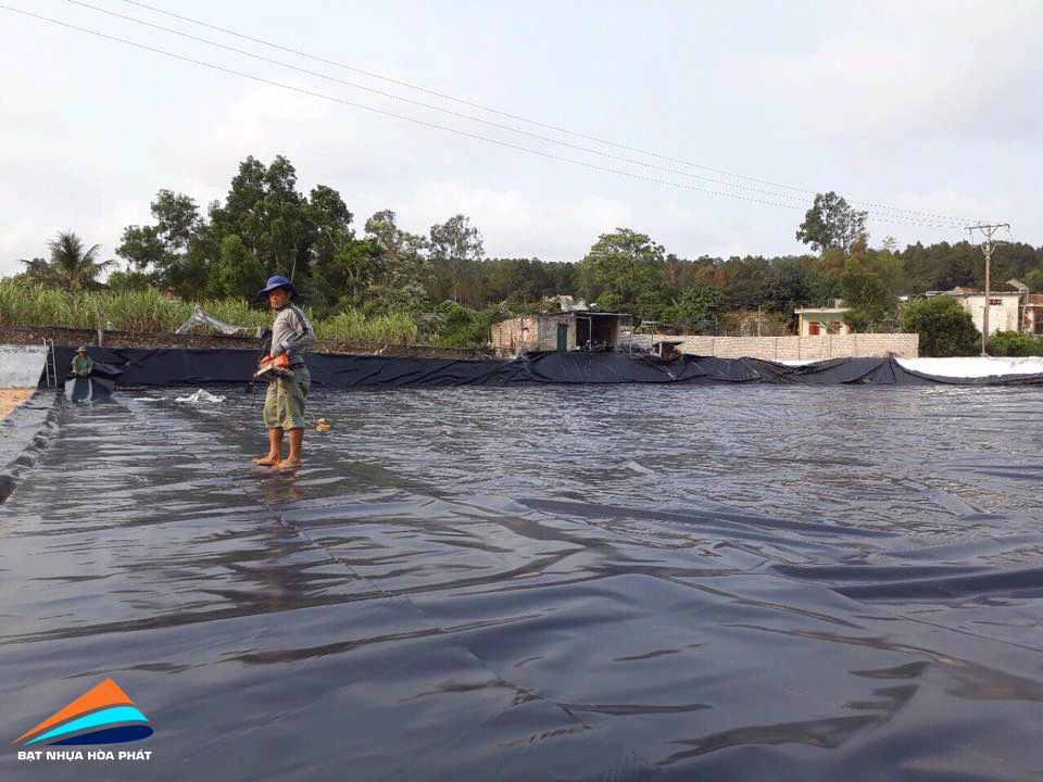 Hình ảnh: Bạt lót ao hồ chứa nước, hồ nuôi tôm cá ở tại Thai Bình