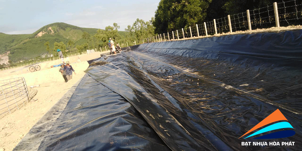 Hình ảnh: Làm hồ cá bằng bạt chống thấm HDPE đen