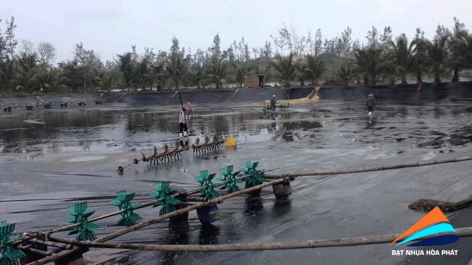 Hình ảnh: Bạt lót ao hồ chứa nước, hồ nuôi tôm cá ở tại Tuyên Quang