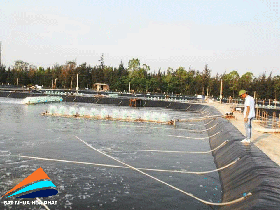 Hình ảnh: Bạt lót ao hồ chứa nước, hồ nuôi tôm cá ở tại Sóc Trăng