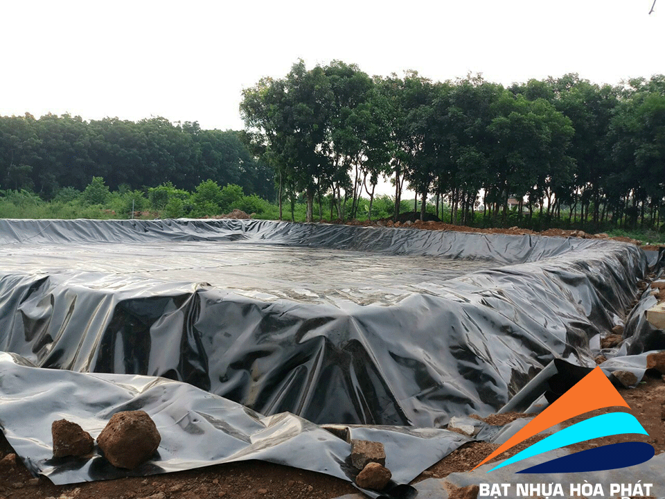 Hình ảnh: Bạt HDPE lót hồ nuôi cá