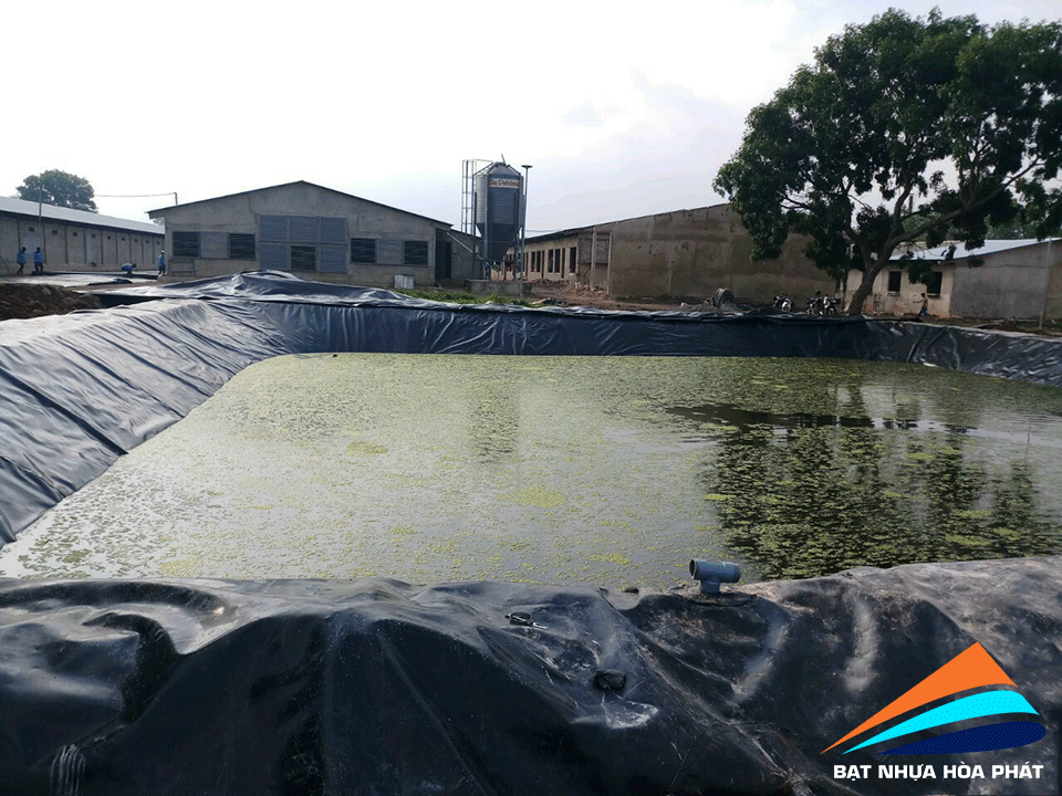 Hình ảnh: Bạt lót ao hồ chứa nước ở tại Bình Thuận