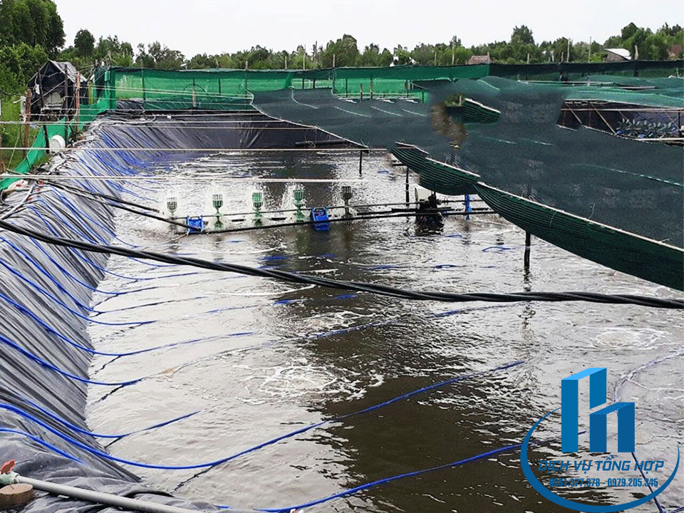 bạt HDPE làm hồ nuôi tôm