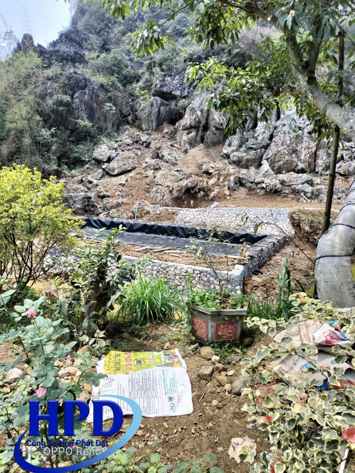 Hồ cá Koi lót bạt HDPE