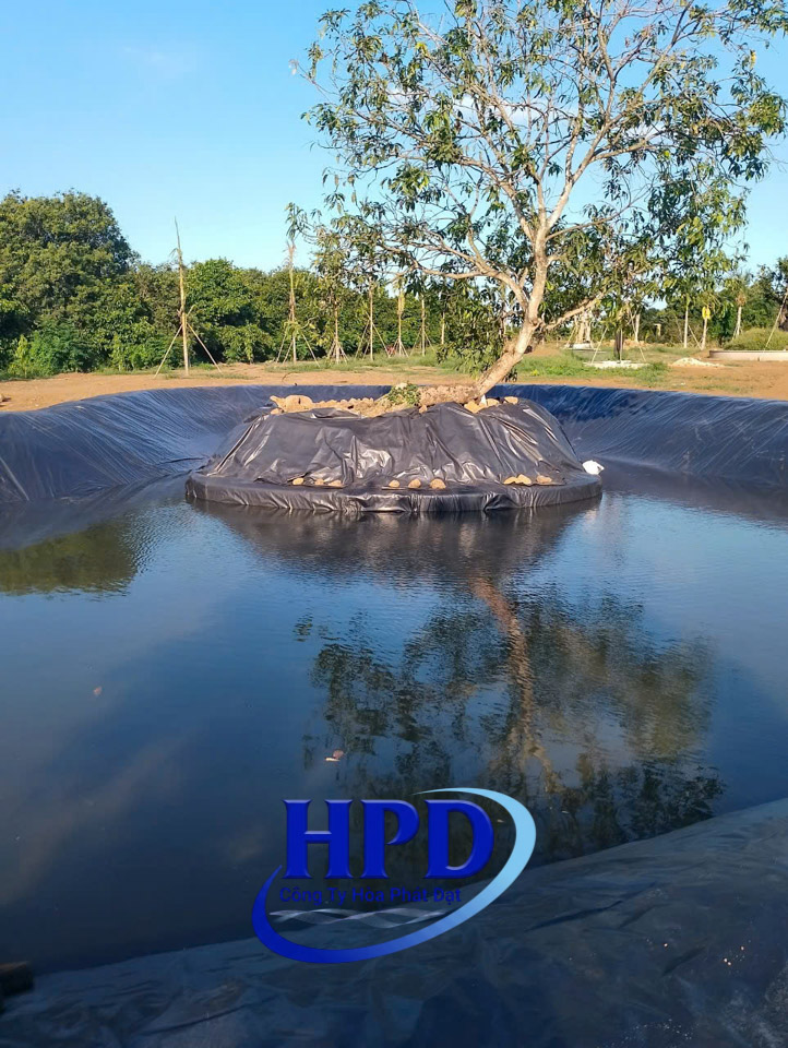 Bạt HDPE lót hồ cá Koi