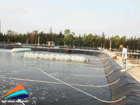 Đơn vị cung cấp và thi công bạt lót ao hồ chứa nước, bạt trải hồ nuôi tôm cá ở tại Bắc Ninh