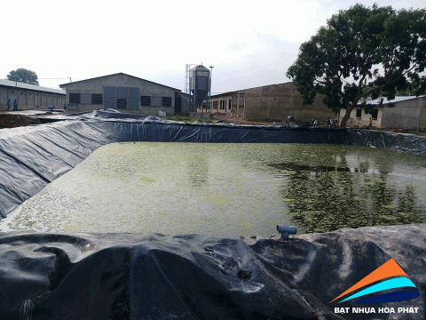Giá bán bạt lót ao hồ chứa nước ở tại Bến Tre. Màng (bạt) HDPE phủ hồ nuôi tôm cá giá rẻ