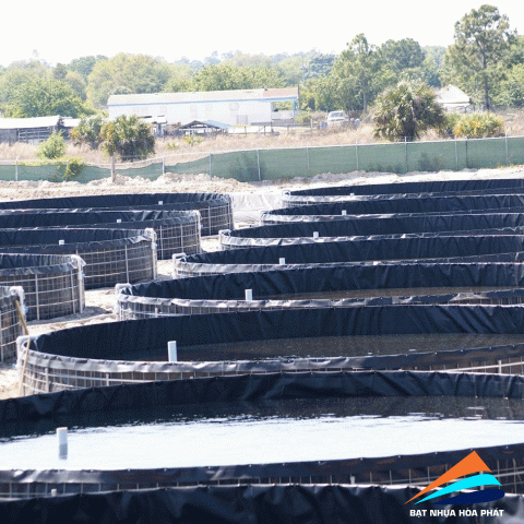 Đơn vị cung cấp và thi công bạt lót ao hồ chứa nước, bạt trải hồ nuôi tôm cá ở tại Lai Châu