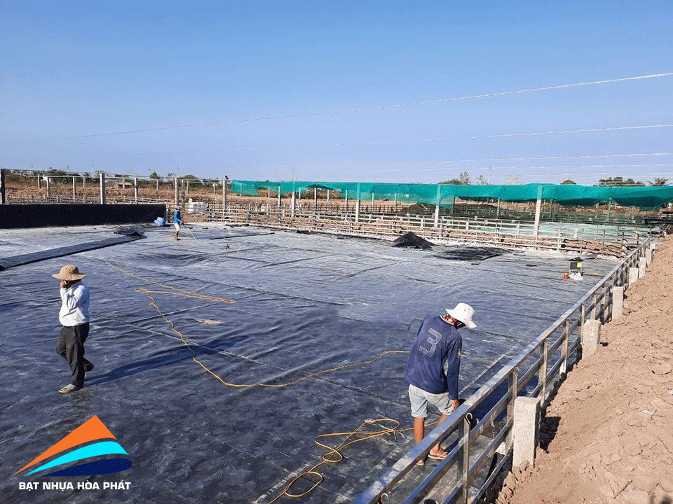 Hình ảnh: Bạt lót ao hồ chứa nước ở tại An Giang