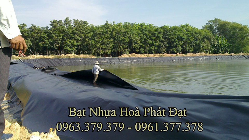 Hình ảnh: Hộ dân nuôi tôm sử dụng bạt HDPE lót đáy hồ