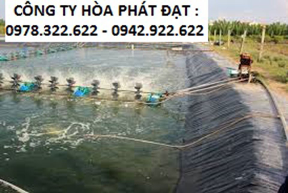 Hình ảnh: bạt lót ao hồ nuôi cá HDPE